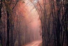 开云体育：[图]东契奇战旧主砍三双 主场力克独行侠.