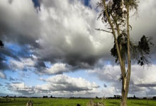 哥伦比亚连丢两球-巴拉圭，迪亚斯传射，杜兰破门，恩西索世界波.