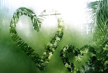 开云体育：[综合]超纪录 放光芒 赵一程的闪耀与期待.